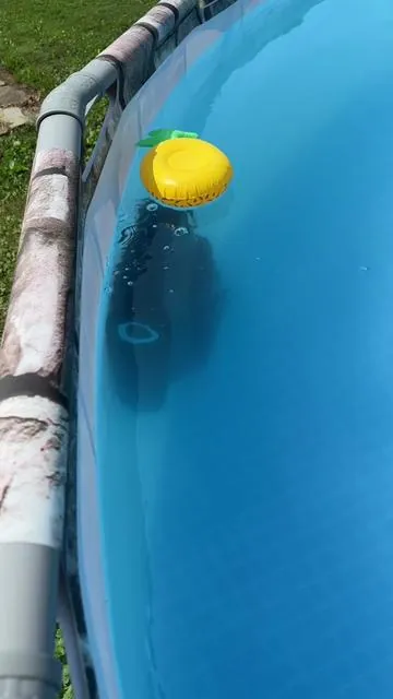 A MUST HAVE if you own a pool! Seriously my highest recommendation!! Love this soo much! #robotvacuumcleaner #poolvacuum #cleanpool#pool#summervibes#poolcleaning #poolvacuuming #automatic#robotic#easy#poolhack#aiper 