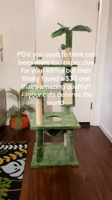 If you can go out for two drinks you can buy your cats this tree!! So affordable ❤️❤️❤️✨