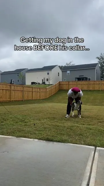 It’s as simple as a click of a button and he comes running! 😱 #trainingcollar #jugbow #dogmusthaves #tiktokshoppet #dogmom #dogdad #DogTraining #recalltraining #jugbowecollar 