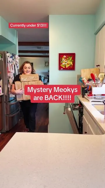 Mystery Meokys are BACK and under $13!!!  #meoky #leakprooftumbler #giftideasforfriends  #falldealsforyou #seasonalessentials #tiktokshopblackfriday #tiktokshopcybermonday #tiktokshopholidayhaul #holidaygiftguide