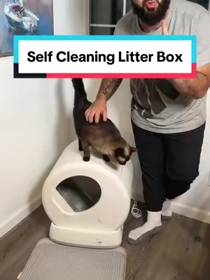 This deal is only gonn last for couple days! #creatorsearchinsights #cat #catslovers #catsoftiktok #cats #automaticlitterbox #litterbox #selfcleaninglitterbox #litter #cattok #catlitter #siamese #siamesecat 