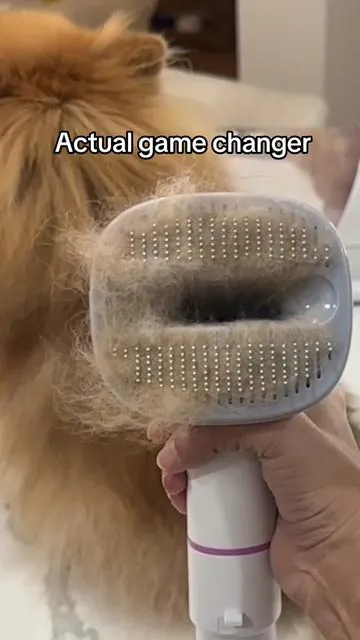 This Pet Grooming Vacuum has been a GAME CHANGER. Shedding season is upon us and this grooming kit understood the assignment 🐾 #petgroomingvacuum #petgroomingkit #petgrooming #geoorood #geooroodpet #geooroodpetgroomingvacuum #fyp #groomingvacuum #groomingkit #easypetgrooming #tiktokshop #tiktokshopfinds #tiktoksales #catsoftiktok #dogsoftiktok 