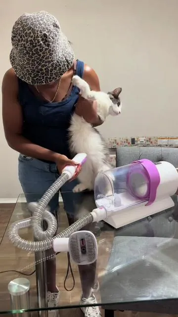 #catsoftiktok #catlover #cattok #angrycat #affectionatecat 