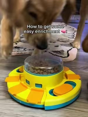 An easy puzzle feeder to get your dog’s brain working! #goldenretriever #enrichmentfordogs #enrichment #tiktokshopblackfriday #tiktokshopcybermonday #christmasgiftideas #dogtoy 
