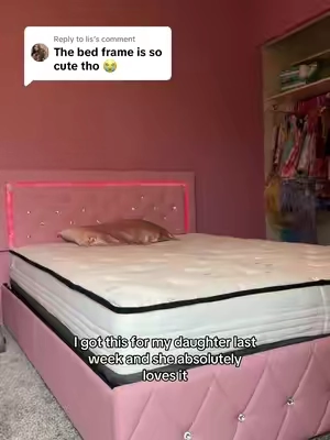 Replying to @lis 2 DAY SALE‼️ I’m in love with this bed frame and definitely jealous of my daughter. #bed #bedframe #bedroom #bedroommakeover #tiktokshop#tiktokshopblackfriday #tiktokshopcybermonday #onsale #bedding #bedframes #christmas #biggirlbed #ledlights #LED #tts #giftsforher #giftforhim #couplesgift #sparkly #pink #pinkroom #girlygirl 