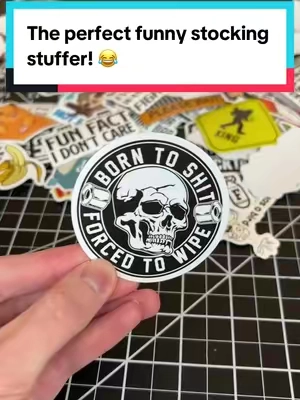 Replying to @Special K These Vynal stickers are so funny 😂 #stickers #funnystickers #stickerpack #vynalstickers #bumperstickers 