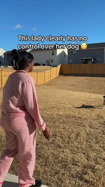 Watch as she goes from no control to having full control of her dog 🤯  #trainingcollar #jugbow #dogmusthaves #tiktokshoppet #dogmom #dogdad #DogTraining #recalltraining #jugbowecollar 