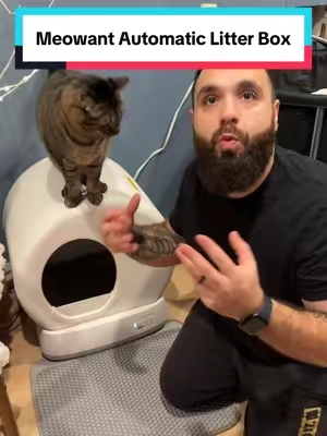 #creatorsearchinsights #litterbox #selfcleaninglitterbox #automaticlitterbox #catlitterbox #cats #cat #catsoftiktok #catlover #catlovers #tiktokshop #tiktokmademebuyit #tiktokfinds #unitedstates #homeimprovement #catproducts #catproductrecommendations 