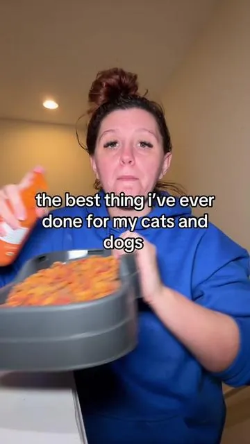 #HolidayHaulPawfectPicks #zestypaws