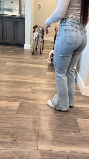 Ladies if you are looking for the perfect pair of jeans, I highly recommend these 🔗 below. #jeansthatfit #yozyjeans #cuteoutfits #womensjeans 