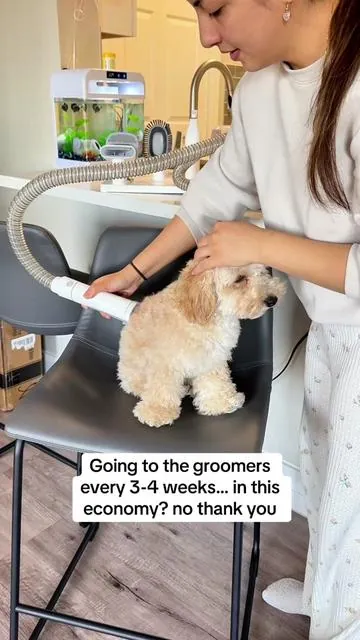 His hair grows back so fast, so this saves me from having to book an appointment every 3-4 weeks! 😍 I also love how mess free it is!  #doggroomingvacuum #doghairvacuum #petgrooming #petgroomingvacuum