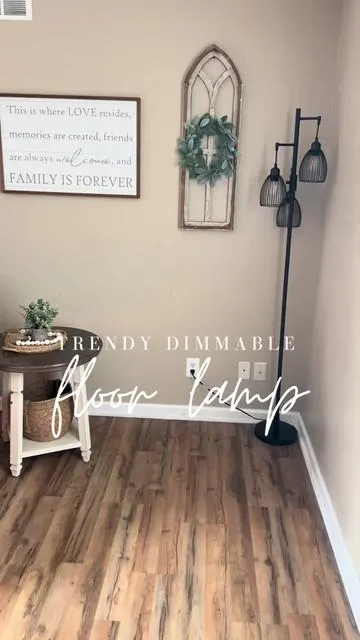 The trendiest floor lamp 🖤🌿 @Nintiue #floorlamp #lamp #dimmablelamp #homeaesthetic #cozyhome #cozyhomedecor #farmhousedecor #farmhousestyle #livingroomdecor #livingroominspo #tiktokshoploveatfirstfind 