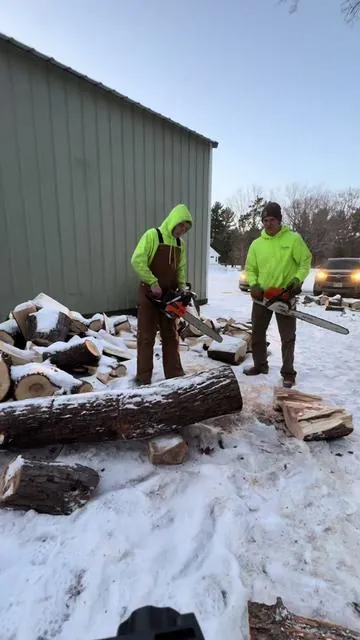 Vevor on top @Pete #winter #chainsaw #vevor #stihl #wood 