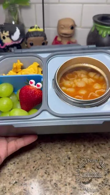 Lunch for my 5 year old that goes to TK ✏️🚌 #SchoolLunch #Lunch #LunchForKids #EasyLunchIdeas #LunchForTK #MomLife #MealMakingMadre 