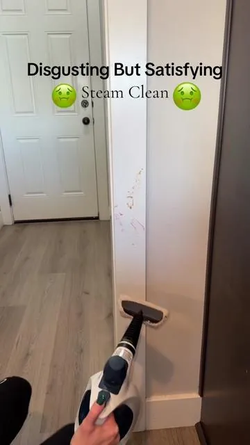 I am SHOCKED every single time I use this steam cleaner. #steamcleaning #steamcleaner #cleanwithme 