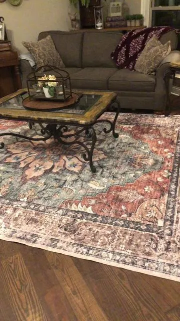 Washable area rug#rug #rugs#arearugs #washablerugs #8x10rug #homedecor 