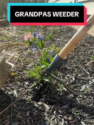 😮‍💨🙌🏼🌱 #garden #gardening #gardentok #SelfCare #grwm #elevateyourhome #treasurefinds #sunsetsavings #treasurefinds #seasonalessentials  #selfcarefinds #makecozyhomeaffordable #gift #giftideas #giftguide #treatyourself #tiktokshopholidayhaul #starcreatorcompetition #holidaycreatorsummit #TTSLevelUp #unboxing #shopping#dealhunting #blackfridaydeals #travelinspiration #spotlightfinds #ttsdelight #holidayhaul #newyearnewaura #selfcarefinds #mademyyear #tiktokshopcreatorpicks #MySuperMoments #tiktokshopnewarrivals #electronicsweek #fashionlookbook #tiktokshopyearendsale #TTSdelightnow #TiktokShopJumpstartSale #loveatfirstfind #thebiggame #freshstartessentials #springglowup #Tiktokshoploveatfirstfind #seasonalgems #goalcrusher #goalcrusherprizes #lovelanguage #tiktokshopthebiggame #tiktokshoprestock #tiktokshopspringglowup #shopblackowned #springintohealth #creatorboostcamp  #launchpadleaderboard #tiktokshopmothersday  #tiktokshopmemorialday #springtok #shopwomenowned #buckedupnewarrivals #homespringglowup 
