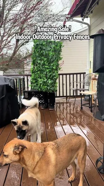@PeakPath US has an amazing quality, beautiful, and durable indoor and outdoor privacy fence. Click link to get yours while supplies last.😃 . #ad #peakpath #privacyfence #musthaveproducts #homedecorideas #homedecor #outsidedecor #artificialplants #outdoordecor #expandablefence #fence #musthaves #privacy #ttslevelup #ttsdelightnow #springtok #fyp #foryou #springtok #tiktokshopspringglowup #tiktokshopcreatorpicks #akitapuppy #akitamom #tiktokshopdeals #treasurefinds #summervibes #springvibes #CapCut 