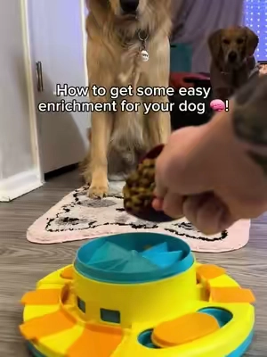 An easy puzzle feeder to get your dog's brain working! #goldenretriever #enrichmentfordogs #enrichment #tiktokshopblackfriday #tiktokshopcybermonday #christmasgiftideas #dogtoy 