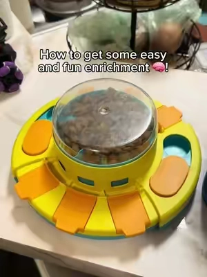 This puzzle feeder is an absolute must have if you’re looking to enrich your dog! #goldenretriever #enrichmentfordogs #enrichment #tiktokshopblackfriday #tiktokshopcybermonday #christmasgiftideas #dogtoy 