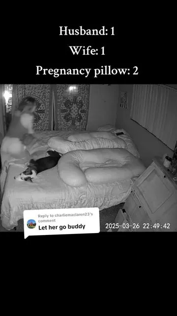 Replying to @charliemaclaren23 why would he do that? I'm amazing😇 he will never find someone like me and he knows it💞 #pregnancypillow 