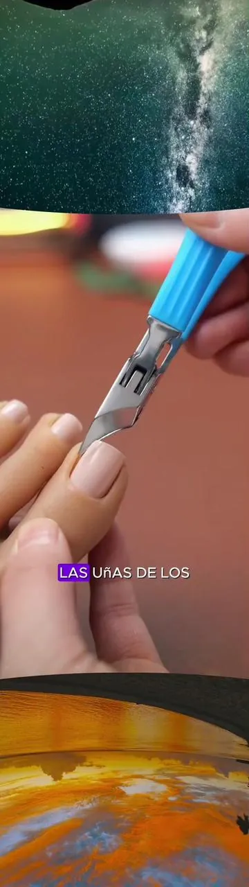 💥 ¡Dile adiós a las uñas encarnadas y gruesas! Este cortaúñas de apertura ancha corta sin esfuerzo incluso las uñas más duras, con precisión y sin ensuciar gracias a su sistema de recolección automática. ¡Imprescindible para un cuidado perfecto de las uñas! 👣✂ #CortaUñasDeAperturaAncha #SoluciónParaUñasEncarnadas #CortadorDeUñasGruesas #CuidadoDeUñasFácil #EsencialesDeHigiene #HerramientaImprescindible #CortePreciso #SinDesorden #FácilDeUsar #MejorCompra #TendenciaEnTikTok #ProductoViral #compraahora🔥 