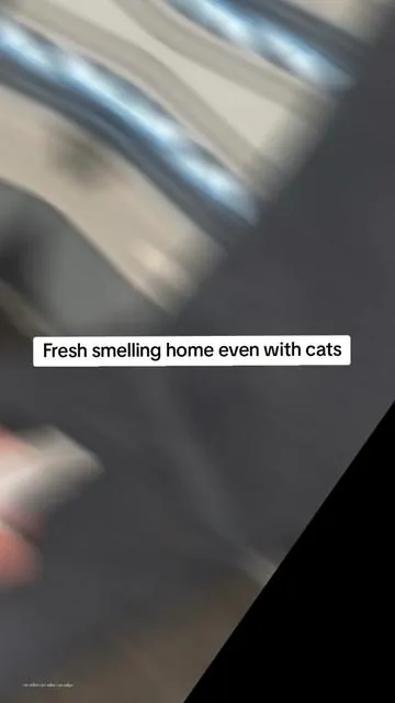 #odor #cat #cats #petodoreliminator 