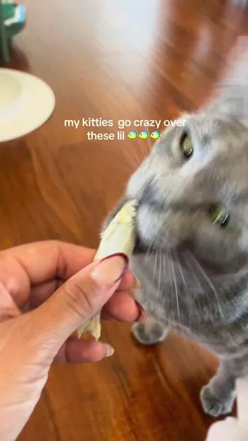 7490292377219763499