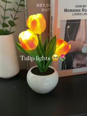 The perfect spring decor, tulip lights so cuteeeee🥹 #tulip #tulips #tulipseason #tuliplight #lights #edlight #springtok #springdecor #springdecorating #tiktokshopmothersday #giftforher #lamp #tablelamp #thatgirl #tiktokmademebuyit 