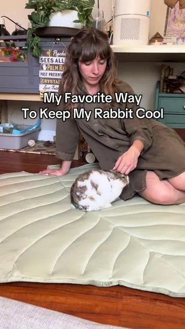 We’ve been loving our Spring Bud cooling mat from Zonli!! Say goodbye to overheating and hello to comfort!!!! #bunnycaretips #bunnycare #rabbitcare #zonlicoolingmat #coolingpad #zonlidogcoolingmat #bunnytok 