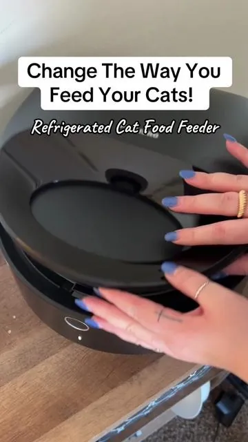 This refrigerated cat food feeder has seriously been a game changer for feeding our cats 😸 #cat #catsoftiktok #cattok #catfeeder #automaticcatfeeder #feedmycat #catfoodtips #catfeederdispenser #catfooddispenser #petlibro #cattips #tiktokshopfinds #tiktokshoprestock #spotlightfinds #fyp 