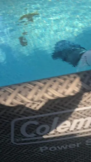 this pool vacuum works great.  #pool #poolvacuum #poolcleaner #poolmaintenance #poolvac #poolcleaning 