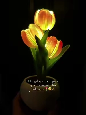 amoooooooo estoooooo vean que hermosos están estos tulipanes 🥹😮‍💨🌷#women #gift #giftideas #gifs #tulipan #tulipanes #paratii #tiktokshop #detalles #detalles_que_enamoran #paratii#tiktokshop #regalo #idearegalo #tulip #tuliplamp 