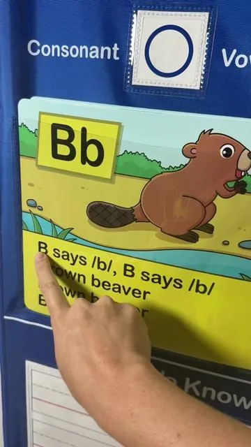 Alphabet learning pocket chart for homeschool or in a classroom to teach children letters. #alphabet #pocketchart #alphabetchallenge #earlychildhoodeducation #earlychildhood #letters #letterpractice #preschool #stayathomemom #letterrecognition #toddleractivities#creatorsearchinsights 