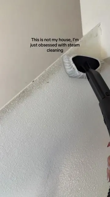 I LOVE a good steam clean #cleanwithme #steamcleaning 