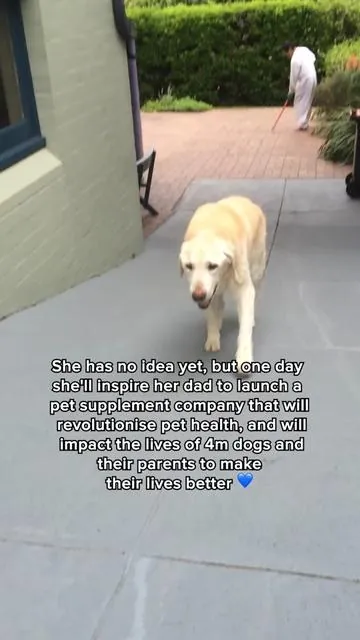 4 million dogs (and counting) living healthier, happier lives… all thanks to her 💙 #dogtok #dogs