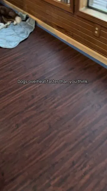 Dogs can overheat way faster than we realize. This cooling mat adjusts to their body temperature naturally—and its soft, easy to clean, and dog approved! #dogcoolingmat #petsummeressentials #staycool #petcarefinds #dogmomlife #petparent #coolingmat #hotweathertips 