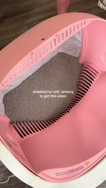 And it’s PINK?! 😍🫶🏻  #cats #catsoftiktok #litterbox #catlitter 