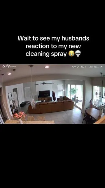 I swear to you this was not staged 🤣 m #mississipicandlecompany #allpurposecleaner #cleantok #cleaning #cleaningredients #ttsdelightnow #tiktokshopcreatorpicks #springtok #tiktokshopspringglowup #tiktokshopsummerturnup 