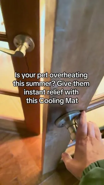 This pet cooling mat is awesome. I’m grabbing one for all my animals!  #coolingblanket #coolingmat #petaccessories #cooling #petsoftiktok #dogsoftiktok #ttslevelup #summerheat  #summer 