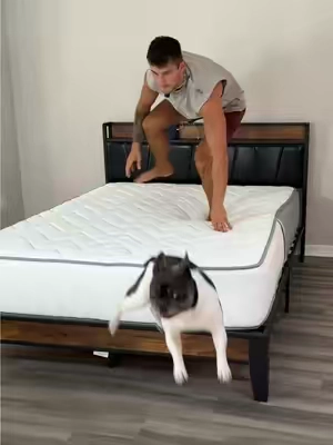 How did I know you needed a new bedframe? Save this video so you don’t lose it! Link is in the bottom left corner if you are interested. #furniture #bedframe #sleep #bedroomdesign 