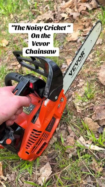 The Vevor top handle chainsaw with a custom exhaust pipe . “The Noisy Cricket “ #chainsaw #exhaustsound #noisycricket #chainsawaddicted #woodcutting #vevorchainsaw 
