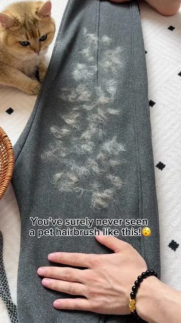 Remove pet hair from any furniture items🐈🐾#pethairremoval #pet #pethair #cleantok #fyp #tiktokmademebuyit #petproducts #pethairremover 