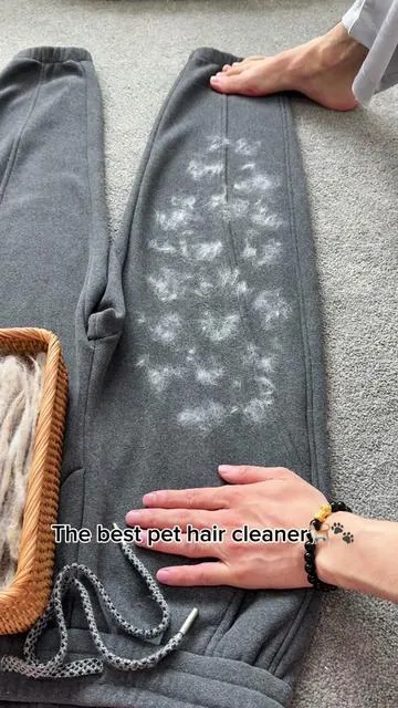 The best pet hair cleaner👏🏻#pethairremoval #pet #pethair #cleantok #fyp #tiktokmademebuyit #petproducts #pethairremover 