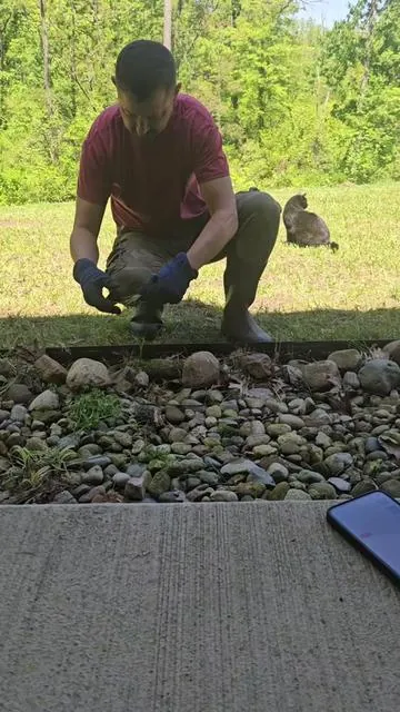 7502519246359072046