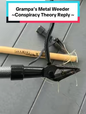 Replying to @workofjack My grampas Weeder broke while in the ground you say it hasn’t been in. I have no idea why so many people have commented this so I’m addressing all these wrong comments in my comment section. Grampas Weeder is my favorite garden tool but the original bamboo handle gave out when I accidentally grabbed a shallow tree root last year. This year they came out with the steel one so after trying and failing to remove the broken bamboo from the old head a snagged the metal one. There’s no conspiracy here. #grampasweeder #grandpasweeder #weeder #weedpuller #weeding #pullingweeds #gardening #gardentools #yardtools #yardwork 
