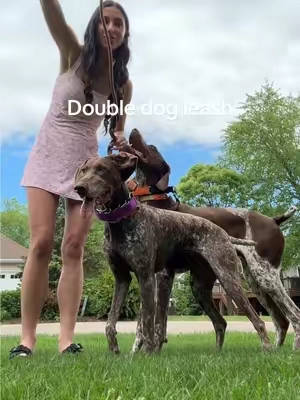 The perfect double dog leash 🐾 #dogleash #doubledogleash #walkingdogs #dogsoftiktok #doggear #dogrunning #dualdogleash  #outdooradventures #spotlightfinds #tiktokshopcreatorpicks 