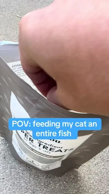 These are the best pet treats!  #tiktokshop #fyp #catsoftiktok #petlover #dogsoftiktok #rawfeeding 