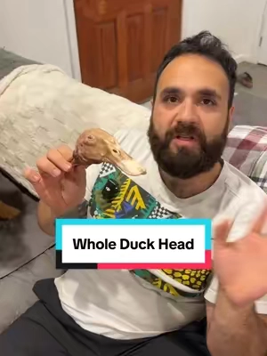 @King Lou duck heads are next level #dogtreats for your puppies! #kinglou #healthydogtreats #duckhead #dogowners #dogproducts #tiktokshop #tiktokshopfinds #tiktokshopcreatorpicks #singleingredient #humangradedogfood 