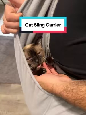 Taking our old boy to walks everyday like this ❤️ #catsling #catslingcarrier #catbag #catproducts #dogsling #dogproducts #tiktokshop #tiktokshopfinds #tiktokshopcreatorpicks 